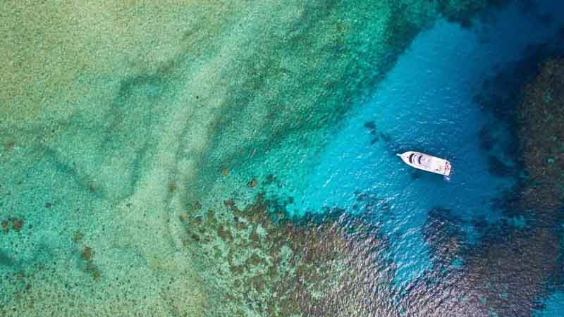 Join Mission Beach Dive for an exciting day cruise and snorkeling adventure at the incredible Outer Great Barrier Reef.